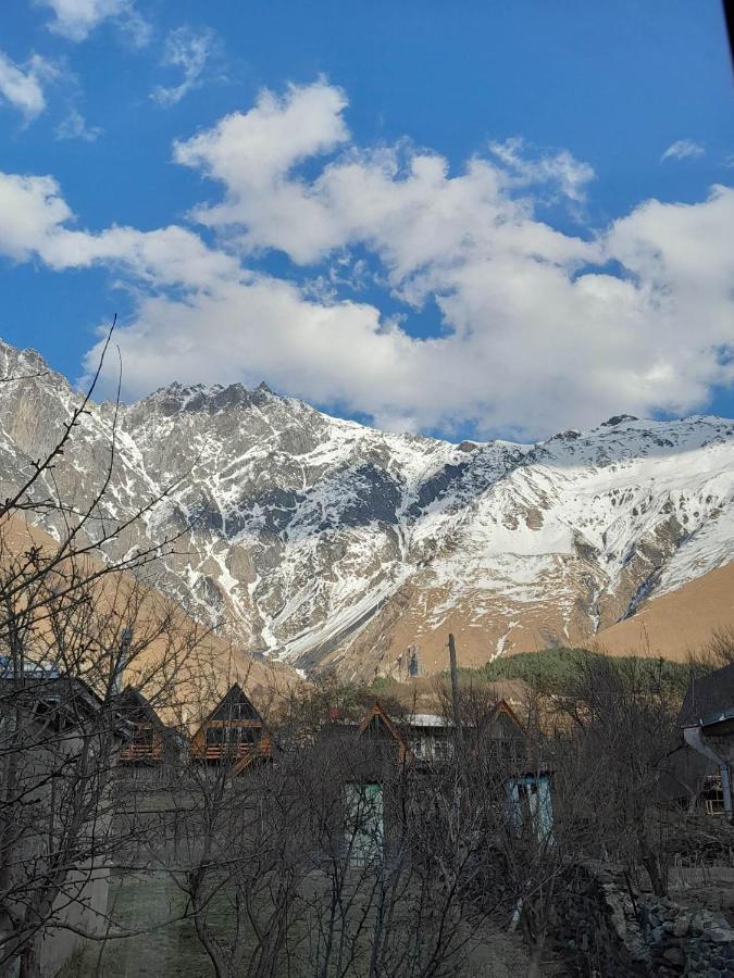 Апартаменты Emotion Kazbegi Экстерьер фото