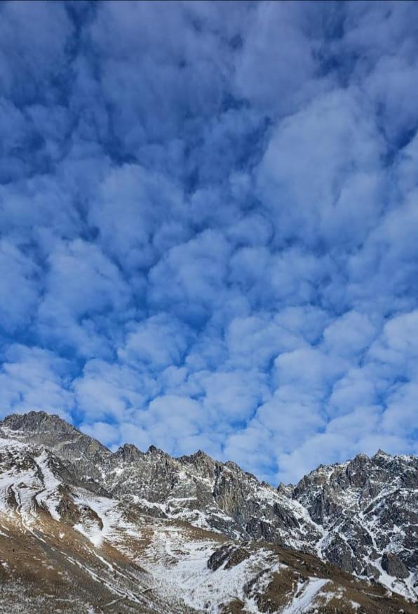 Апартаменты Emotion Kazbegi Номер фото