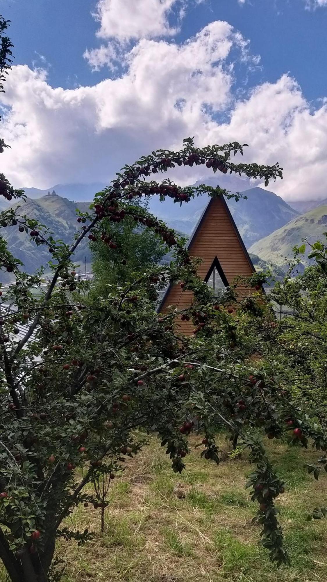 Апартаменты Emotion Kazbegi Экстерьер фото